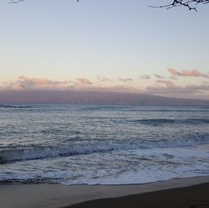 Meet your Posher, Ariana